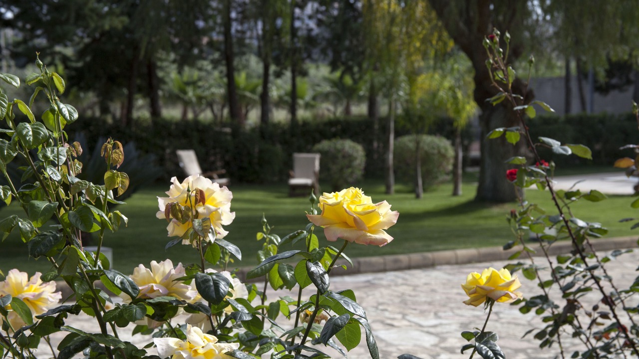 Photo of Outdoor in Villaseta