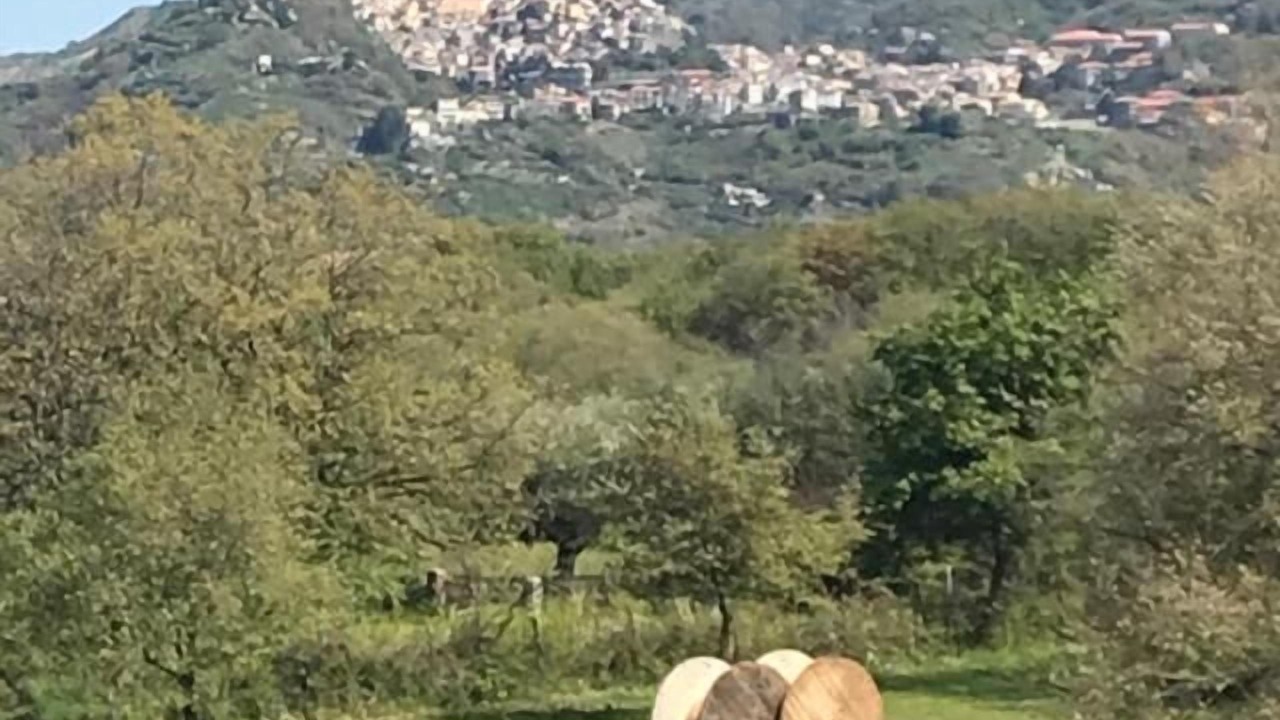 Photo of Outdoor in Castiglione di Sicilia