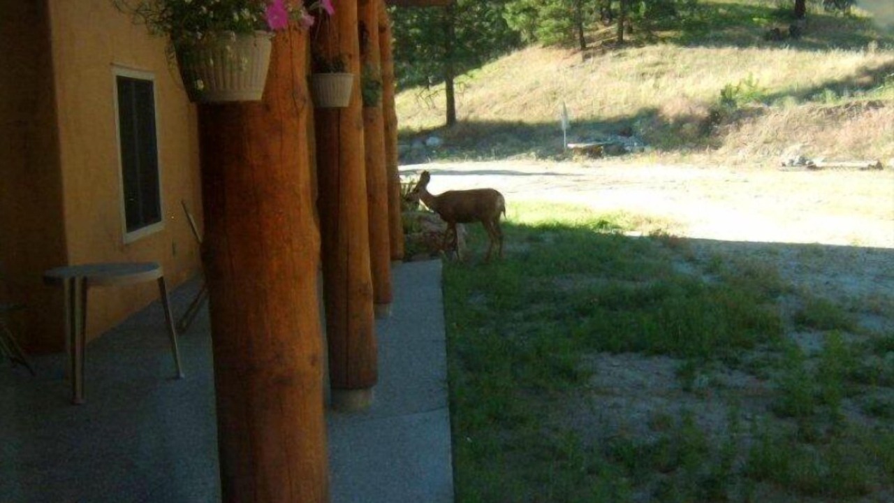 Photo of Outdoor in Osoyoos