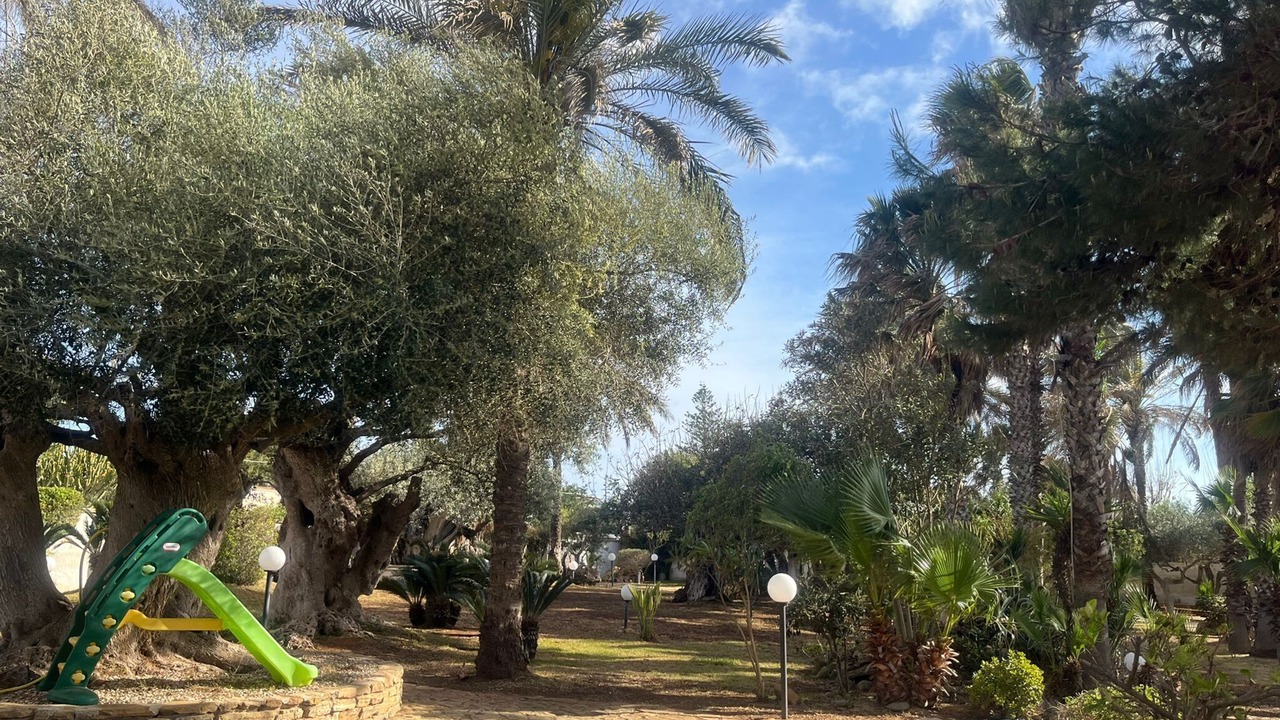 Photo of Others in Marsala