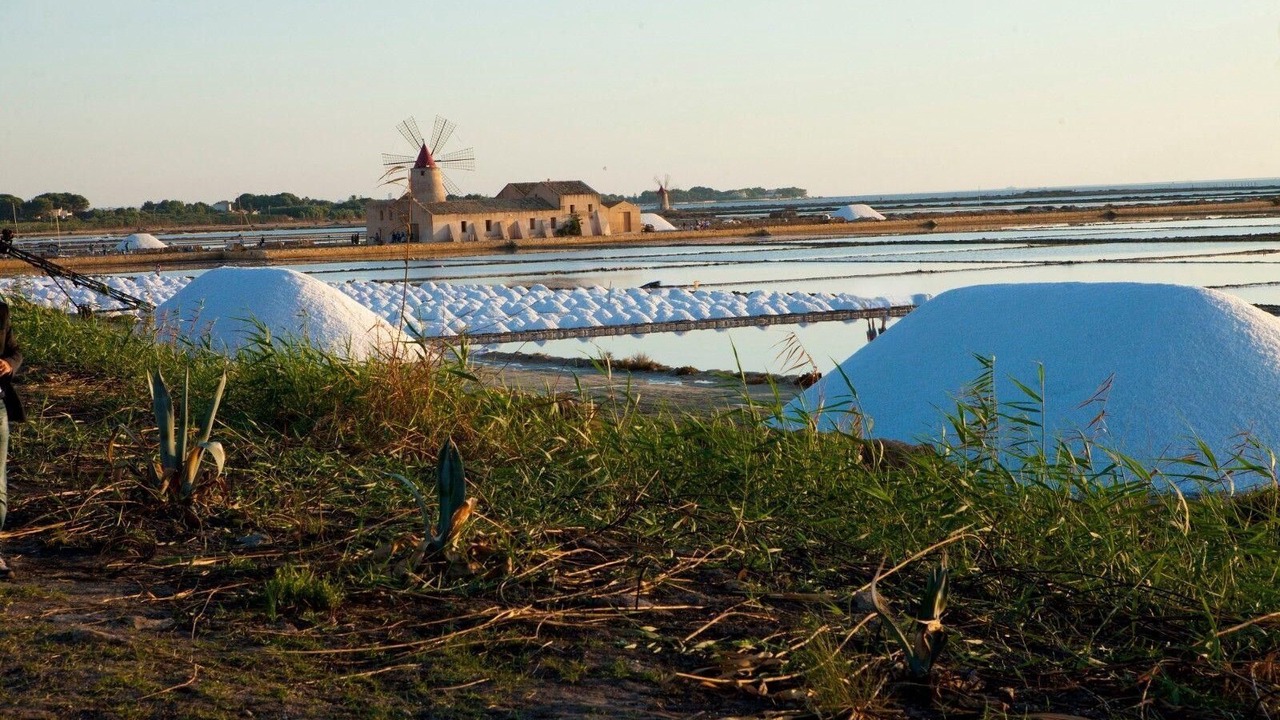 Photo of Others in Marsala