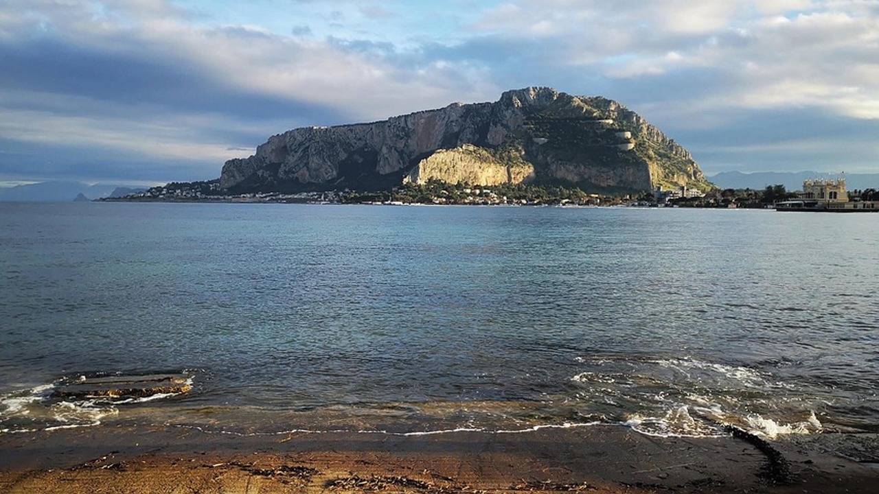 Photo of Others in Palermo