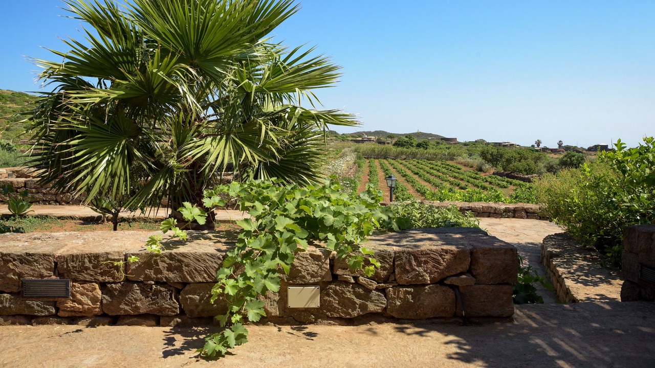 Photo of Patio Balcony in Pantelleria