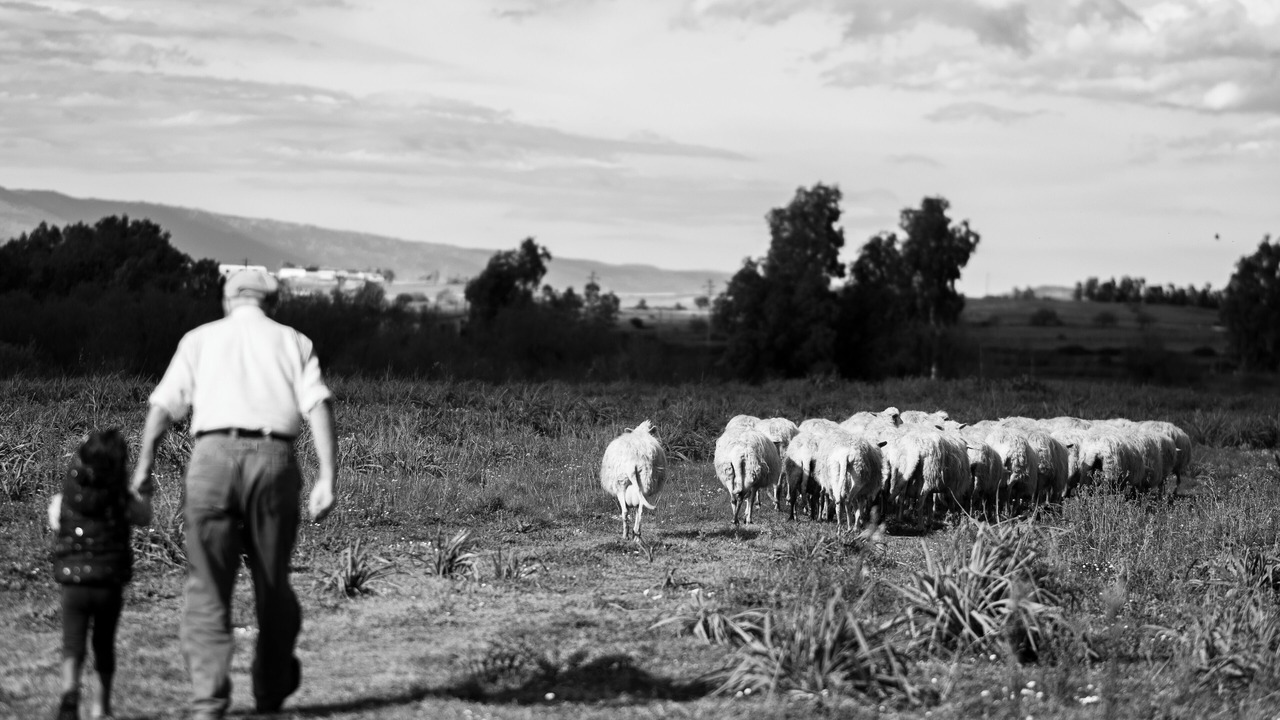 Photo of Others in Sedilo