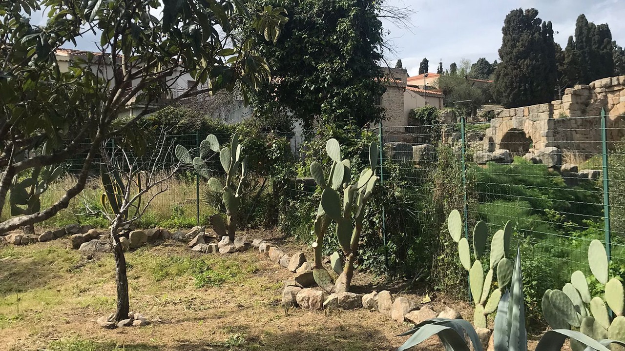 Photo of Outdoor in Tindari