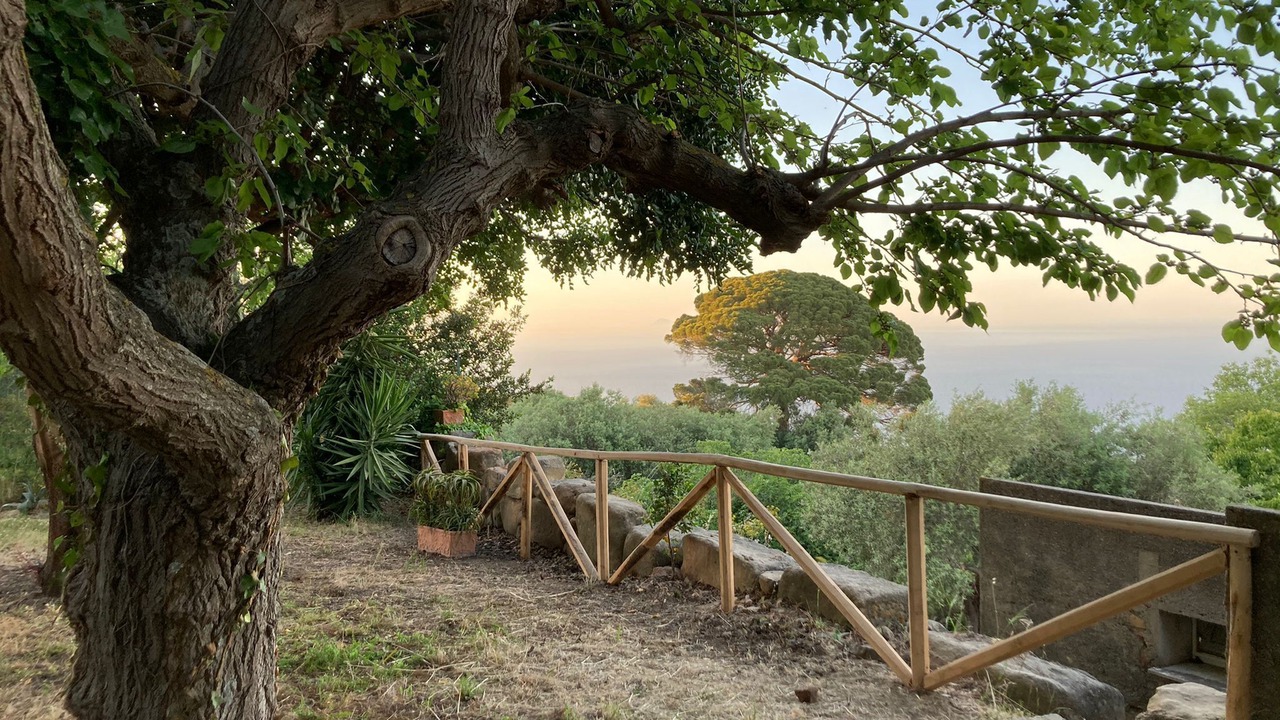 Photo of Outdoor in Tindari