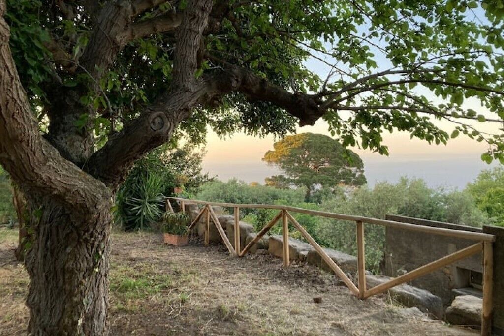 Photo of Outdoor in Tindari