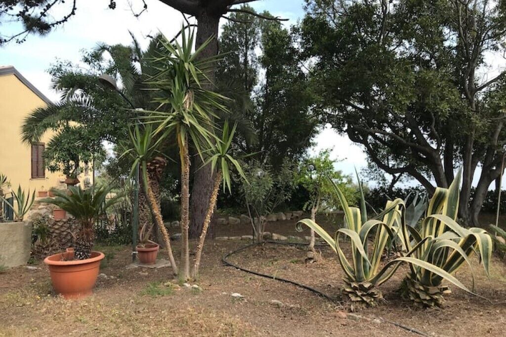 Photo of Outdoor in Tindari
