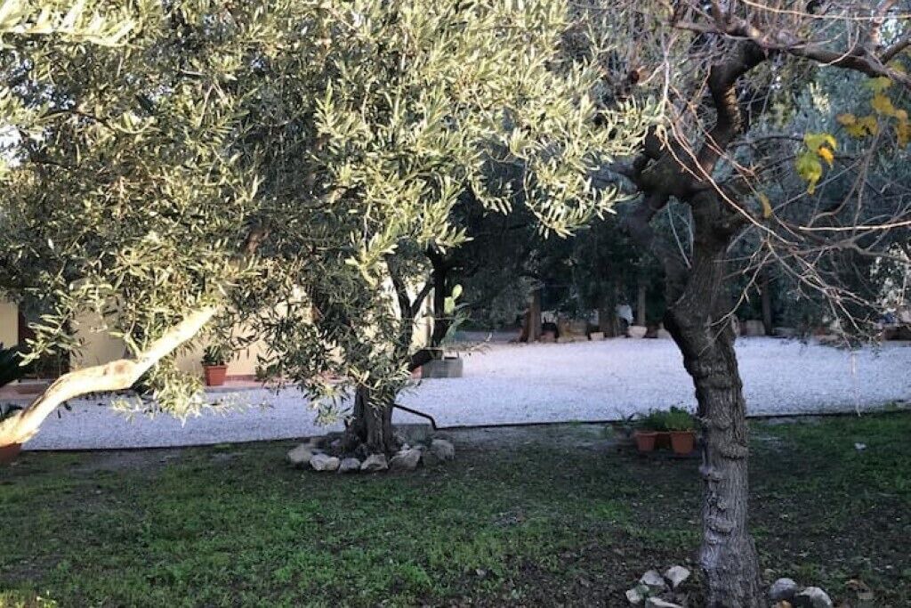 Photo of Outdoor in Tindari
