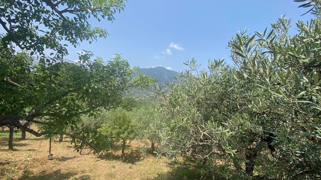 Photo of Outdoor in Castelbuono
