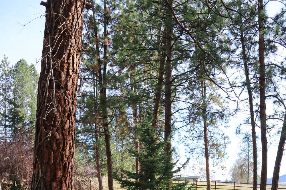 Photo of Outdoor in Southeast Kelowna