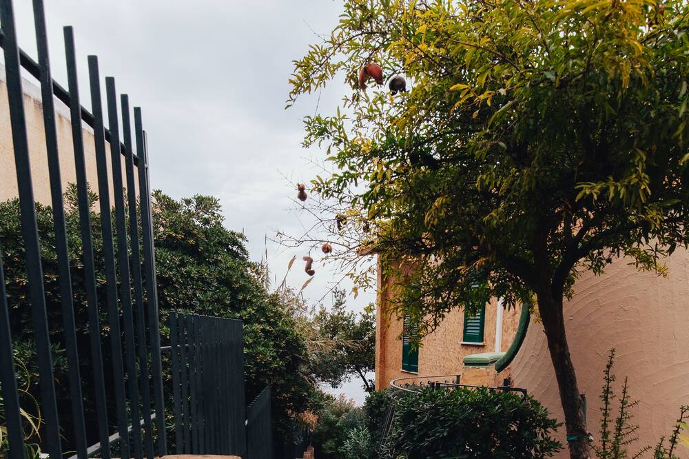 Photo of Outdoor in Capo Zafferano