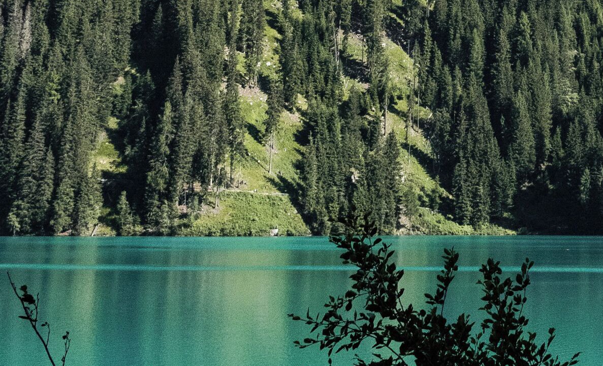 Photo of Others in Rasun di Sopra