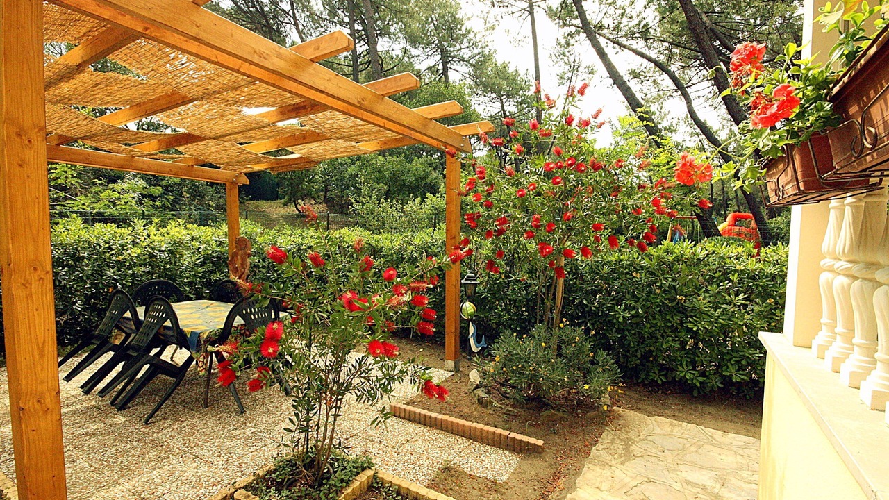Photo of Outdoor in Marina di Castagneto Carducci