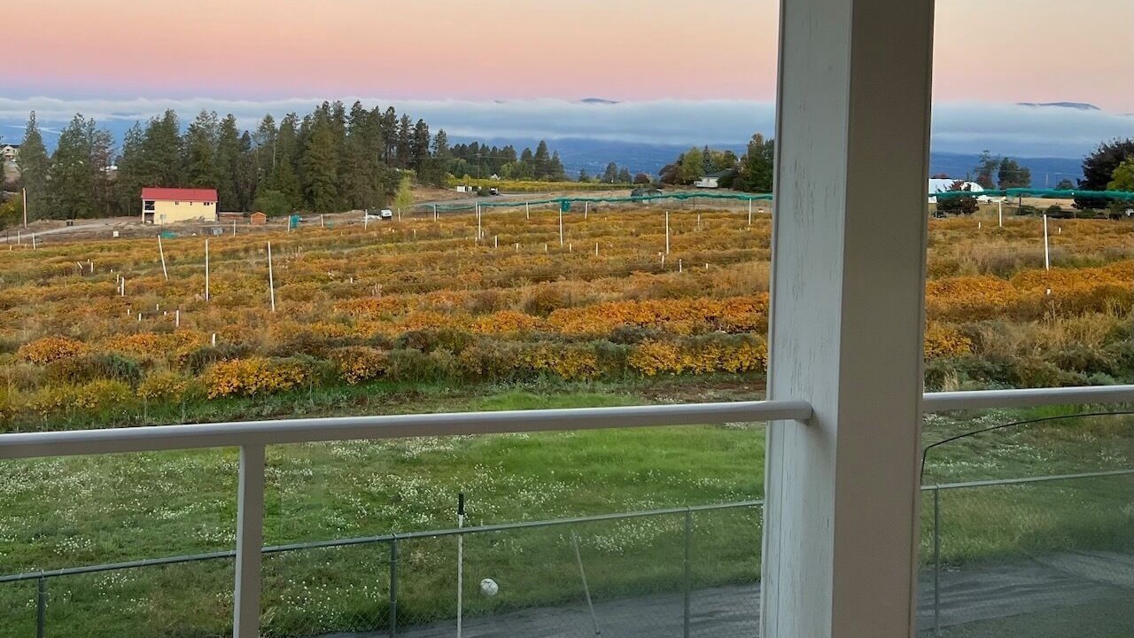 Photo of Others in Southeast Kelowna