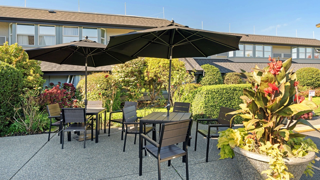 Photo of Outdoor in Sidney