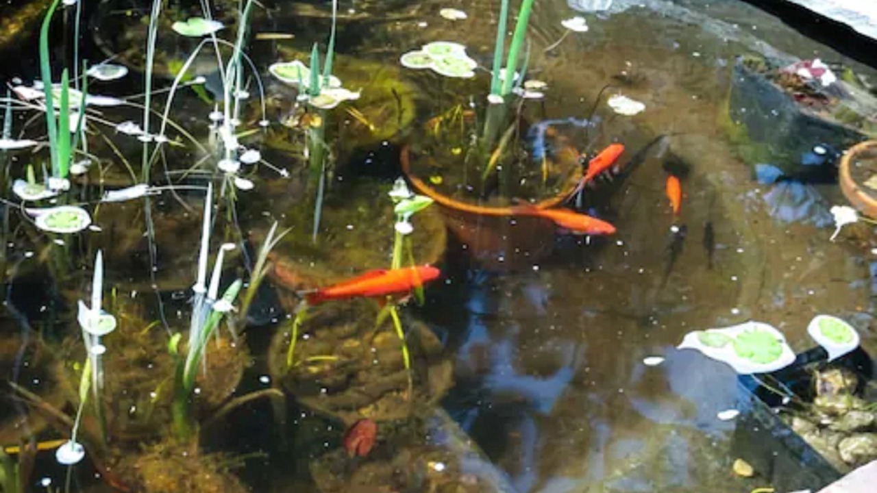 Photo of Outdoor in Shannon Lake