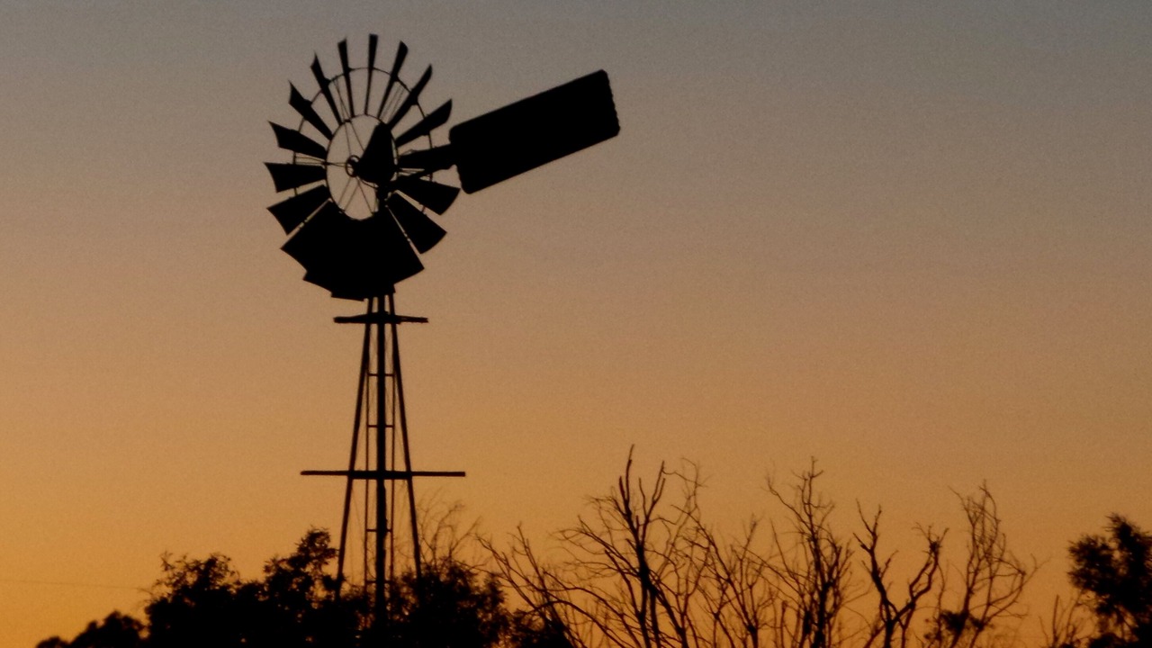 Photo of Outdoor in Chinchilla