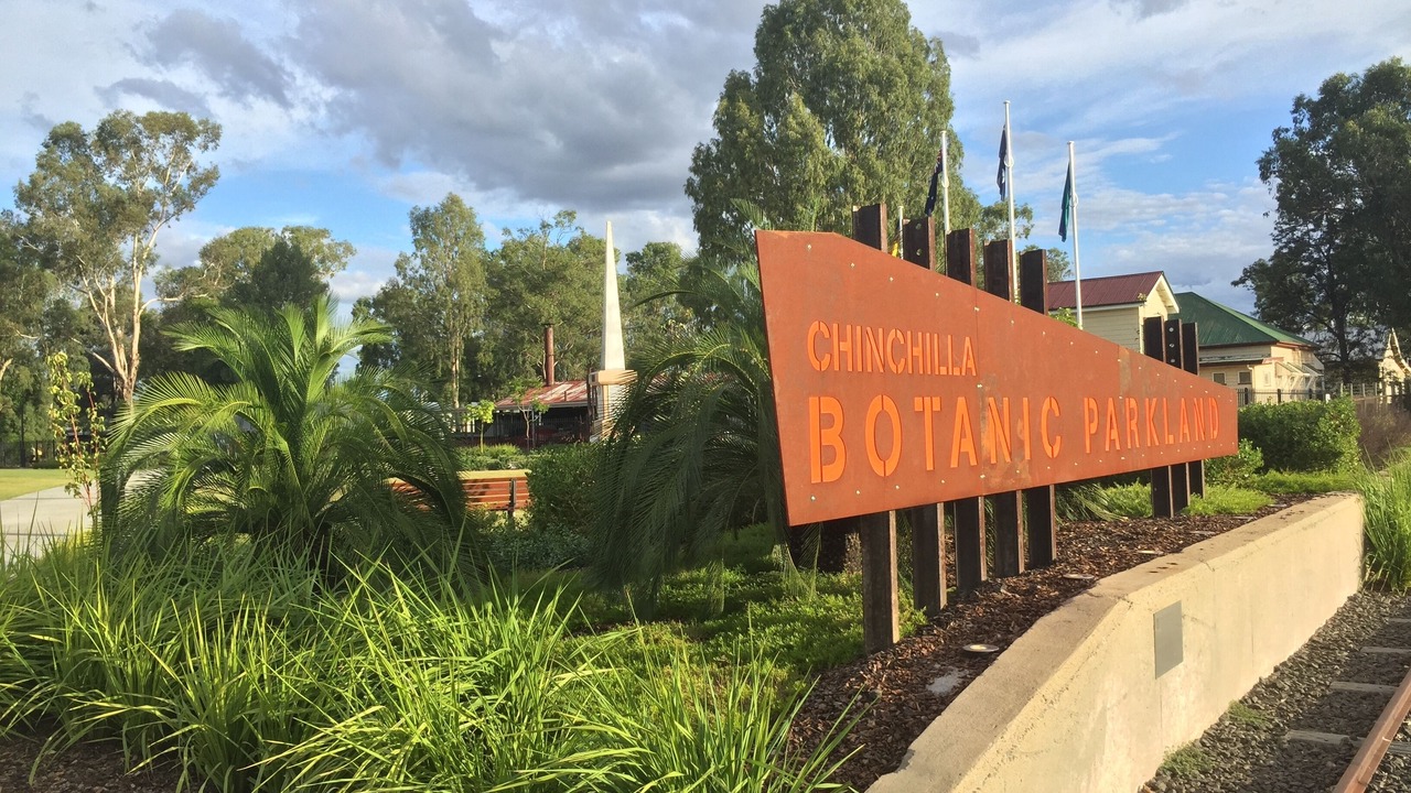 Photo of Others in Chinchilla