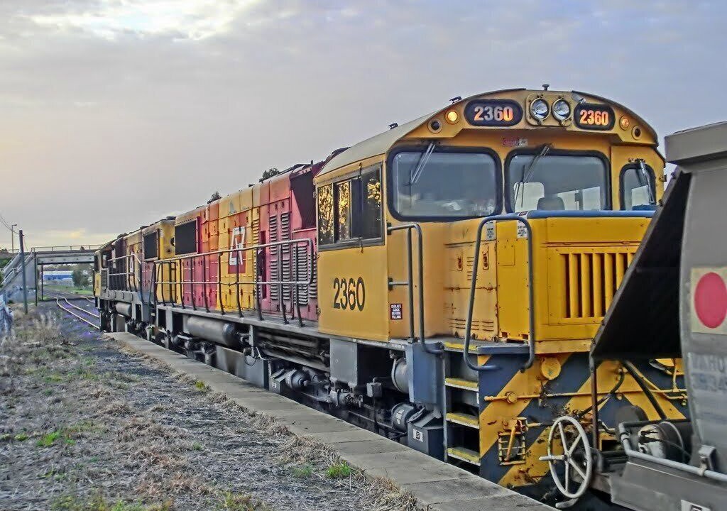 Photo of Others in Chinchilla