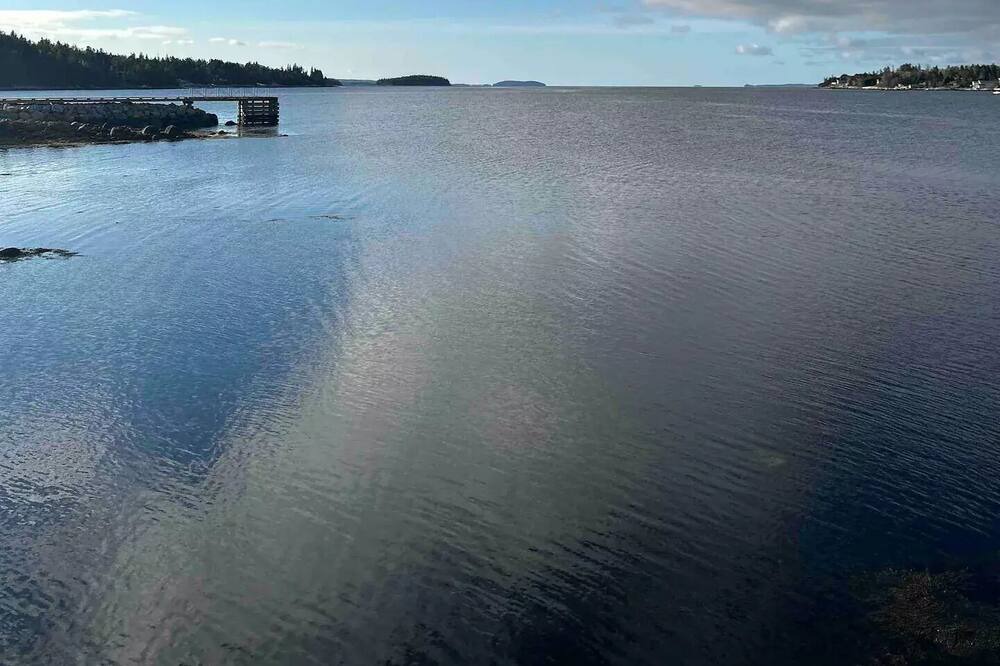 Photo of Others in Boutiliers Point