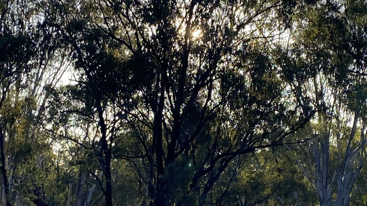 Photo of Outdoor in Eidsvold West