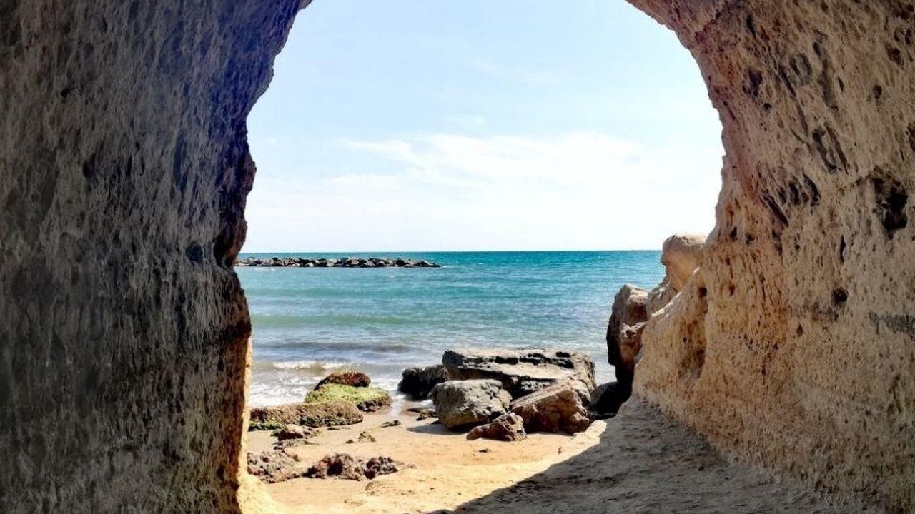 Photo of Others in Anzio