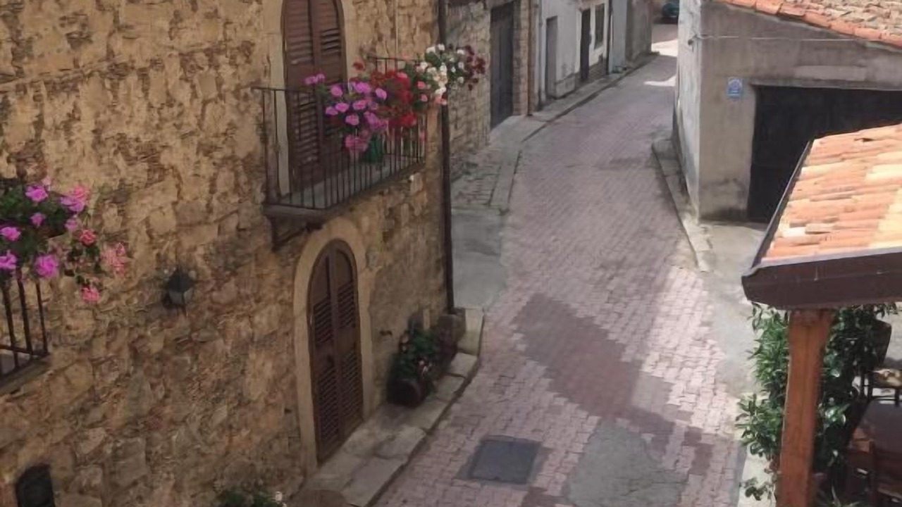 Photo of Outdoor in Floresta