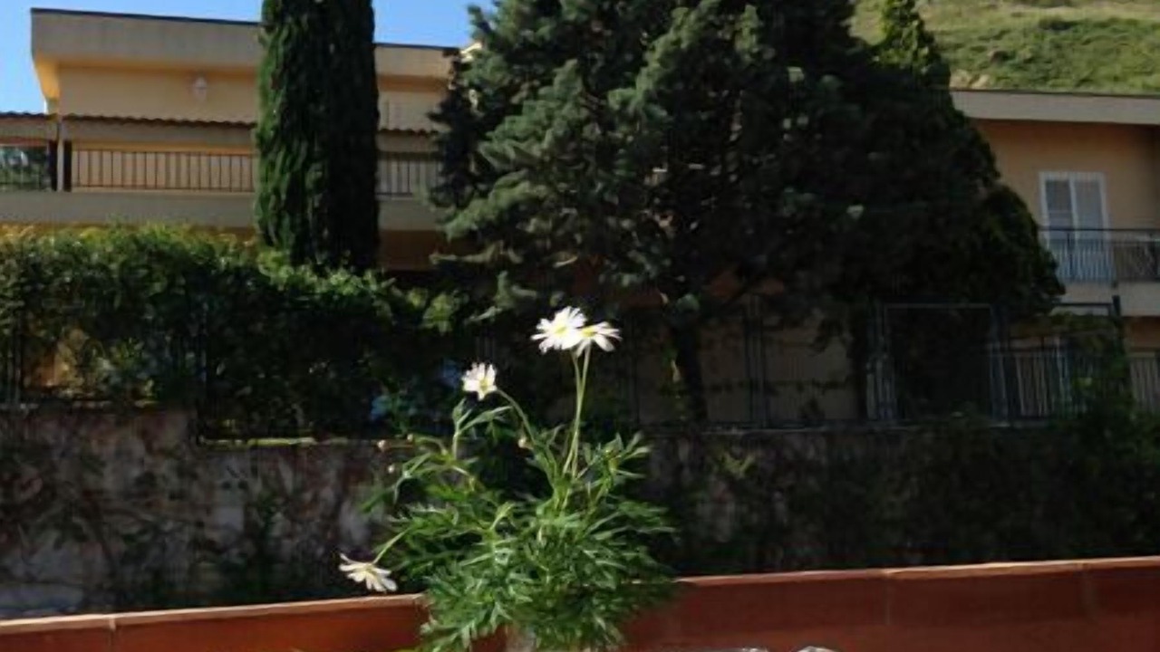 Photo of Bedroom in Cefalu