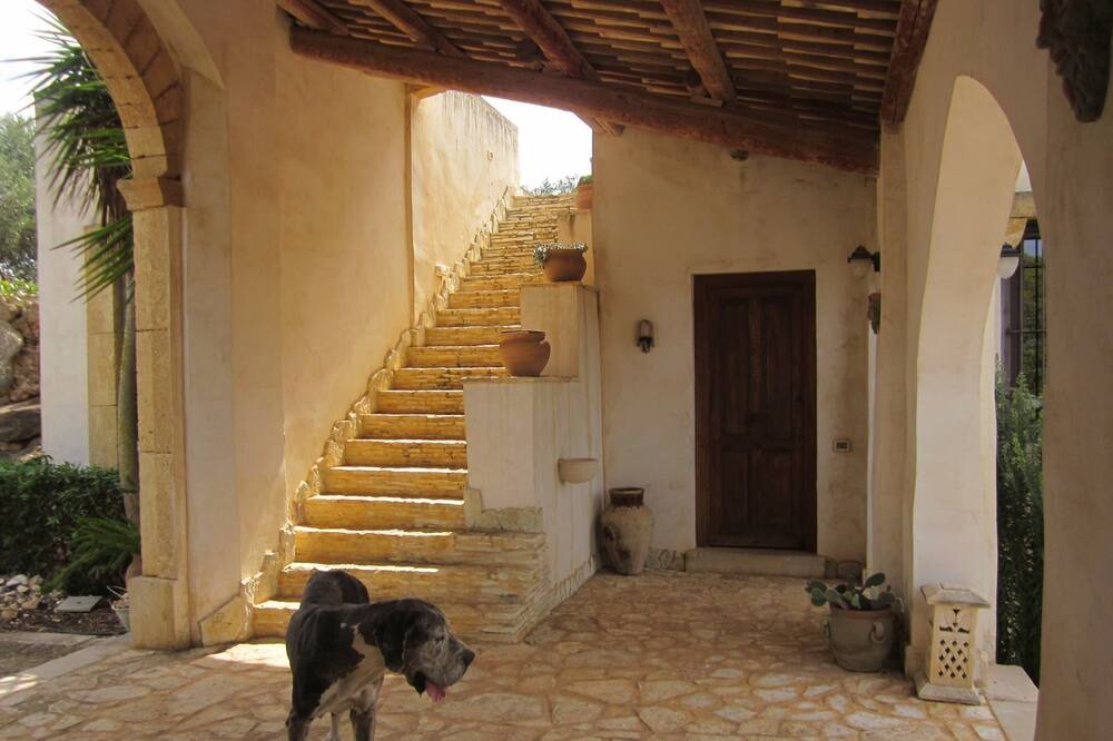 Photo of Outdoor in Marsala