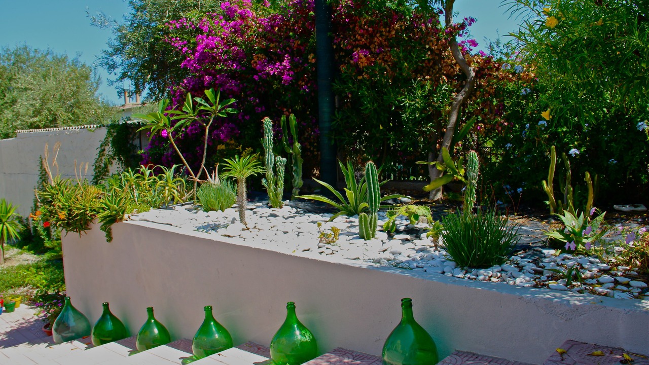 Photo of Outdoor in San Saba