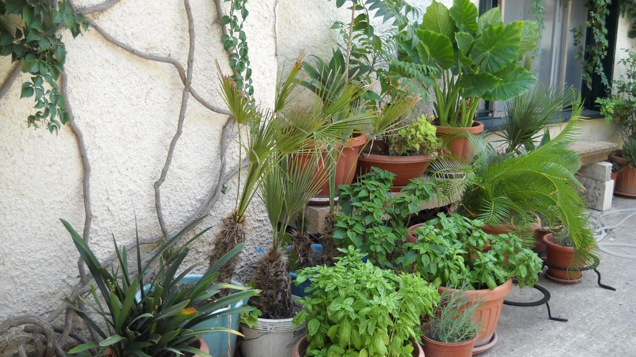 Photo of Outdoor in Sambuca di Sicilia