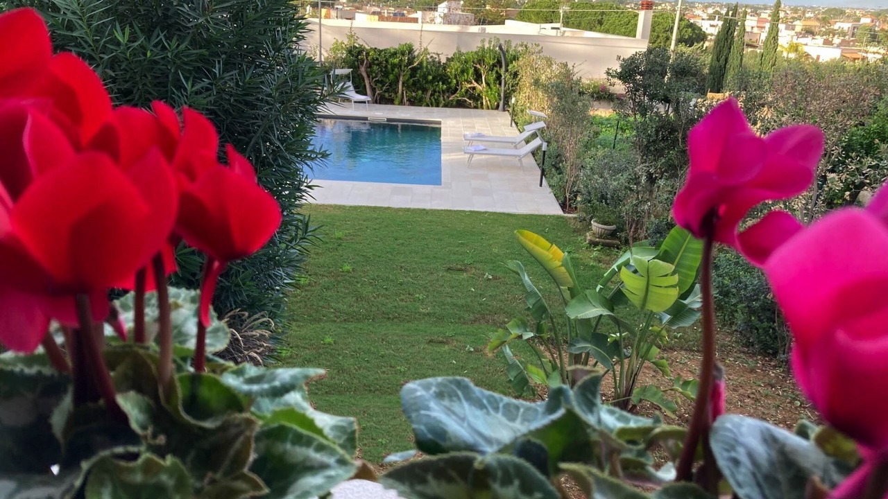 Photo of Outdoor in Marsala