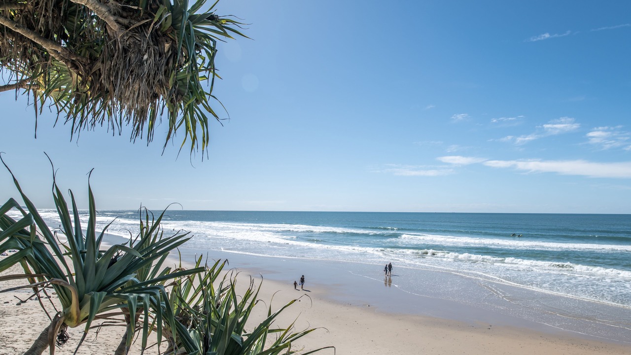 Photo of Others in Sunshine Coast