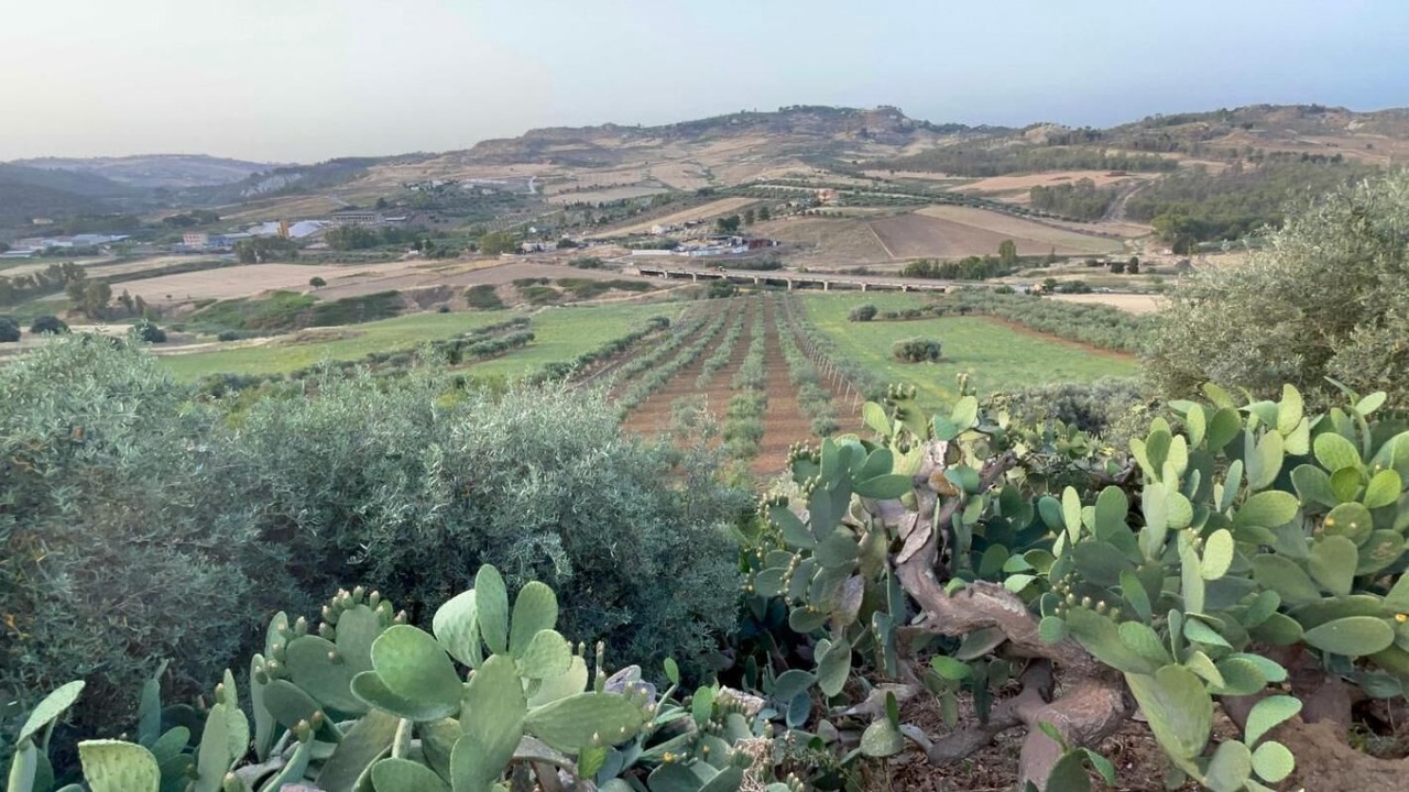 Photo of Outdoor in Agrigento