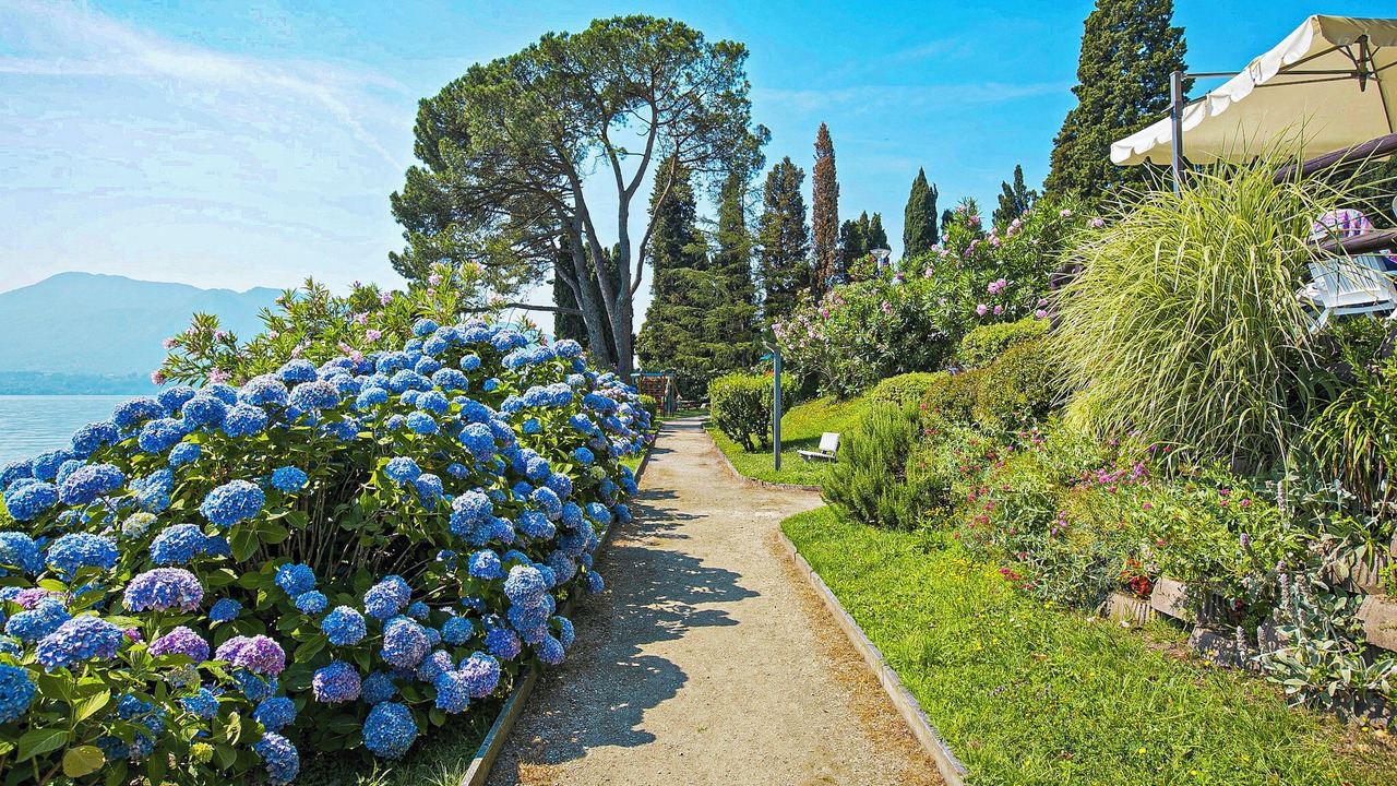 Photo of Outdoor in Gonte