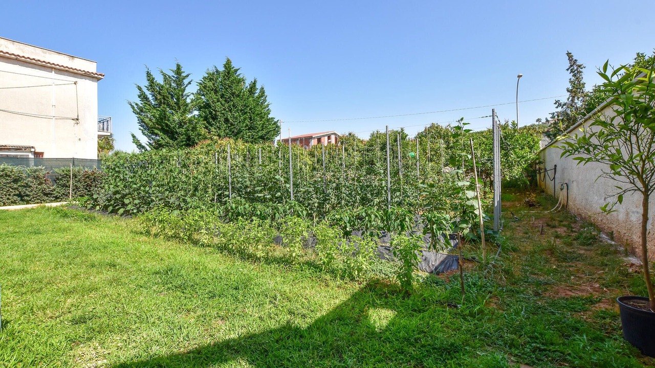 Photo of Others in Trappeto