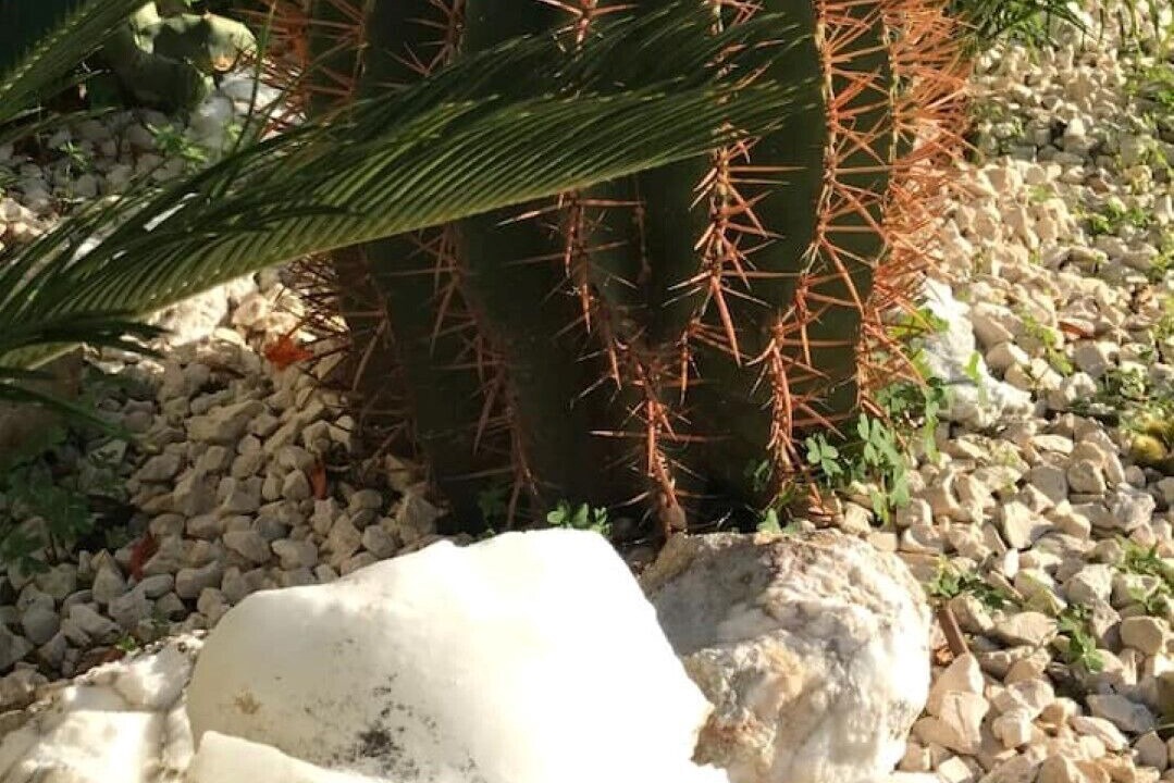 Photo of Outdoor in Realmonte