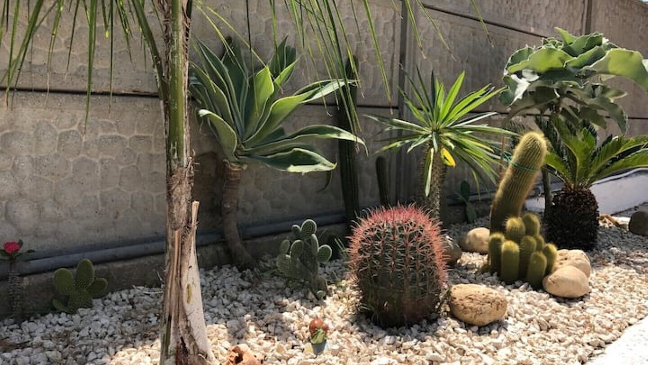 Photo of Outdoor in Realmonte