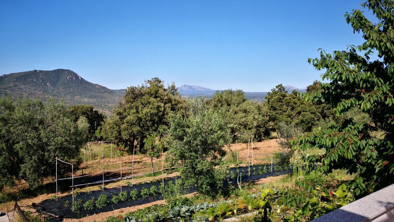 Photo of Outdoor in Oliena