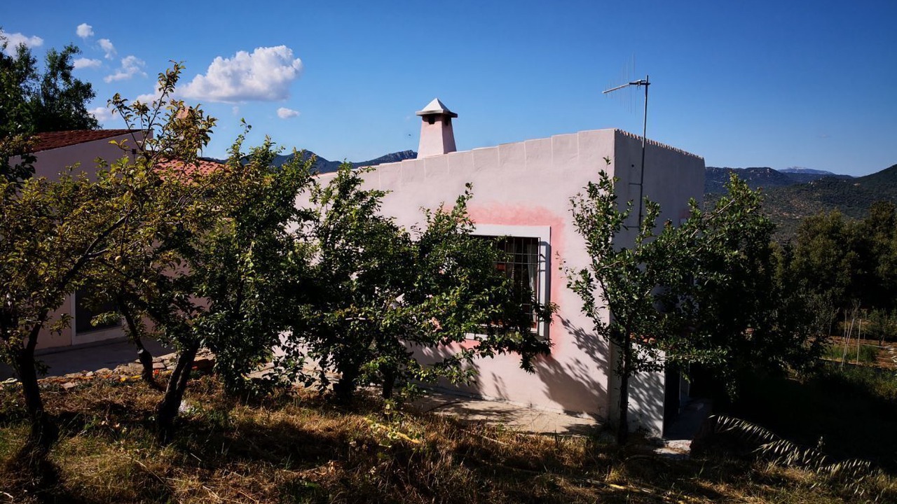 Photo of Outdoor in Oliena