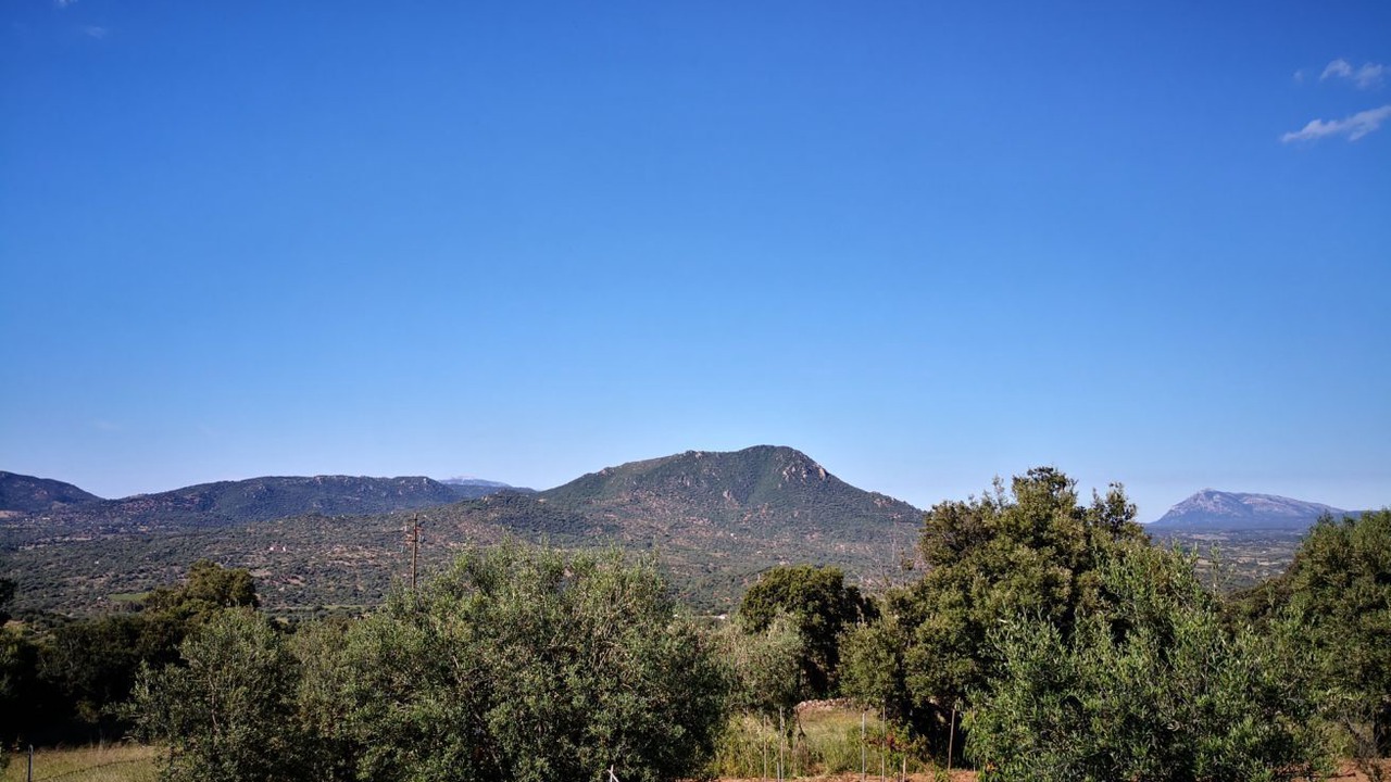 Photo of Others in Oliena