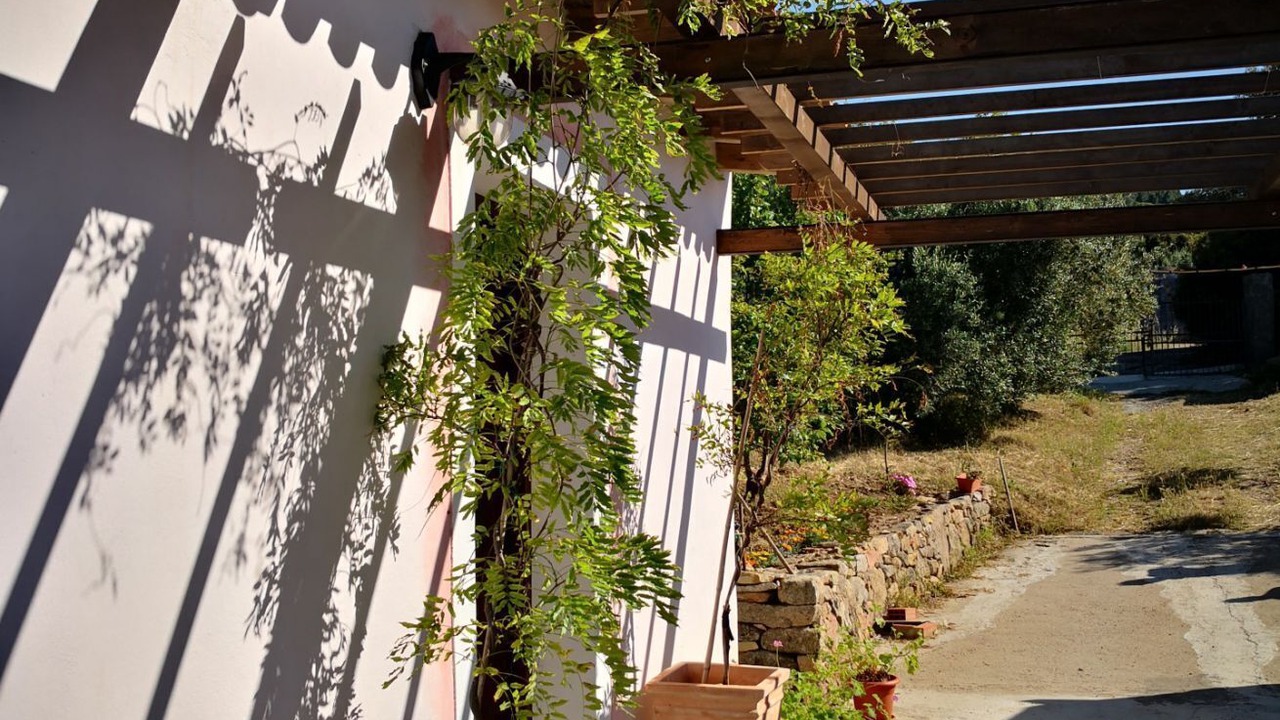 Photo of Outdoor in Oliena