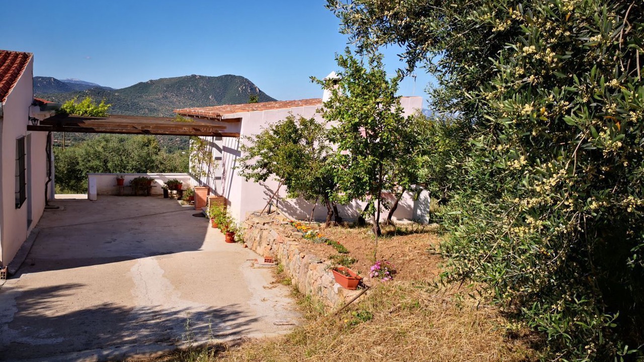 Photo of Outdoor in Oliena