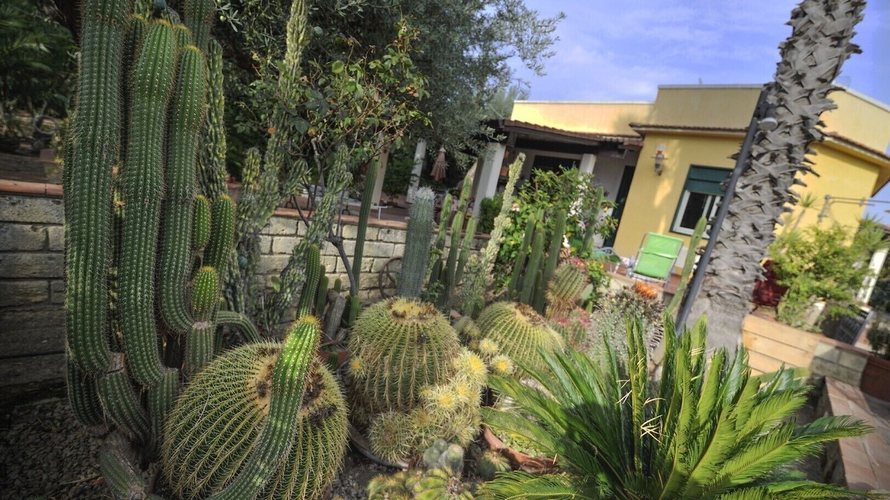 Photo of Outdoor in Pietraperzia