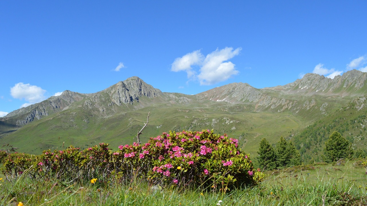 Photo of Others in Valle di Casies