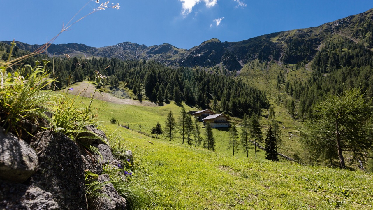Photo of Others in Valle di Casies