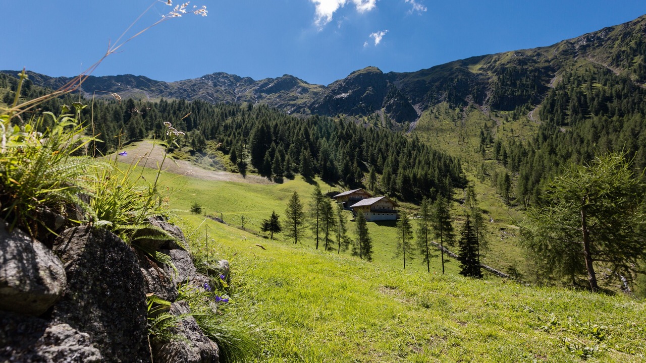 Photo of Others in Valle di Casies