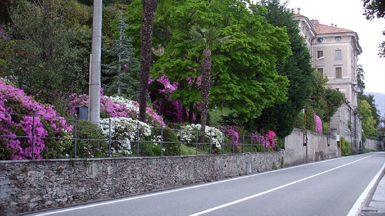 Photo of Others in Gonte