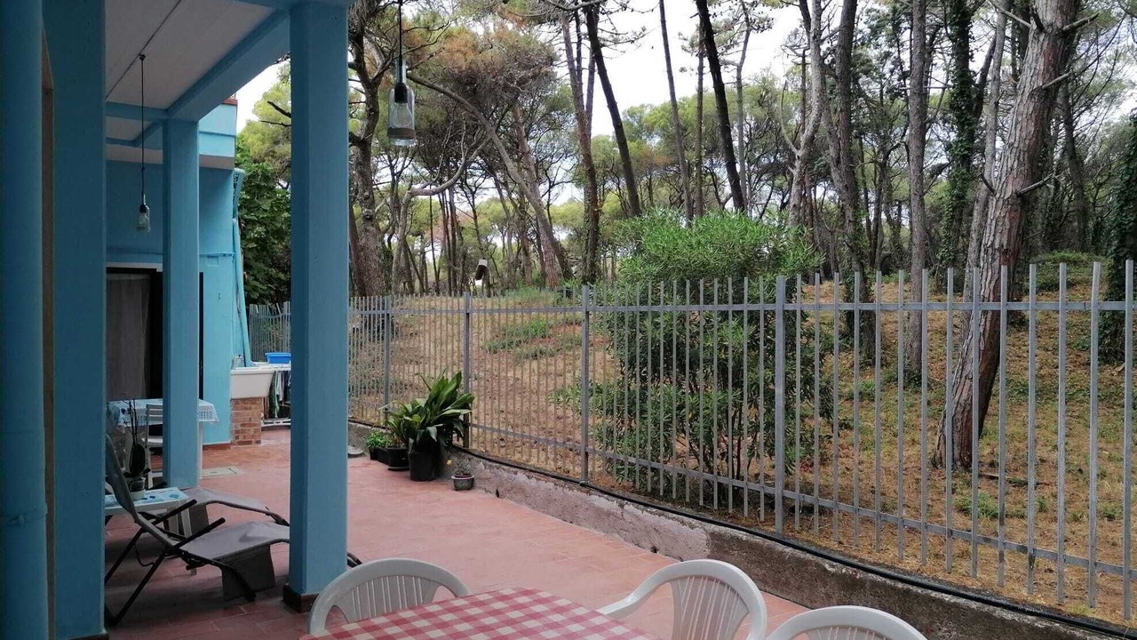 Photo of Outdoor in Marina di Bibbona